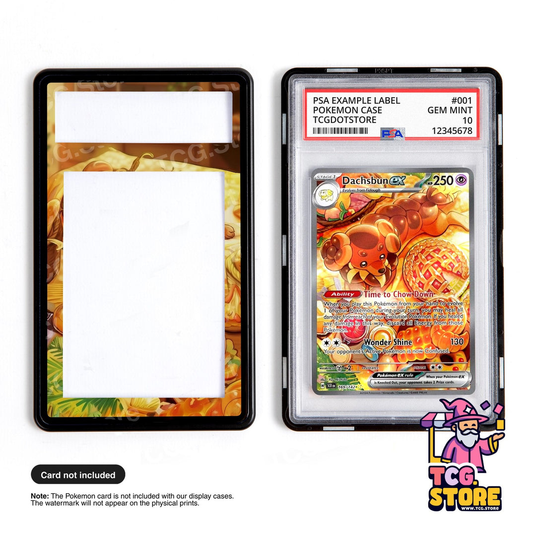 Dachsbun Ex 169/142 | Pokémon PSA / CGC Graded Card Case Extended Art Case