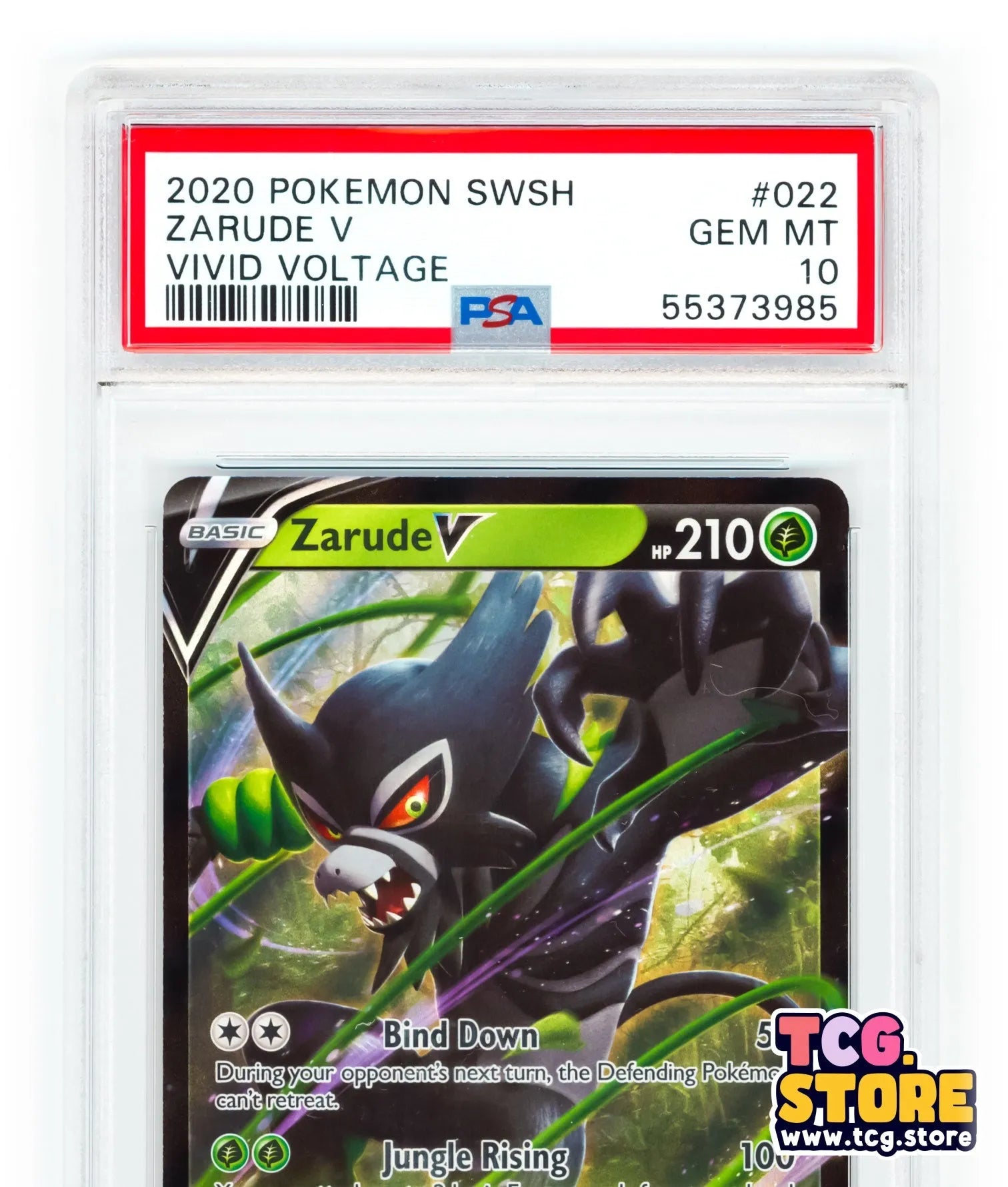 2020 - Pokemon Vivid Voltage Zarude V 022/185 - Full Art - PSA 10 - TCG.Store