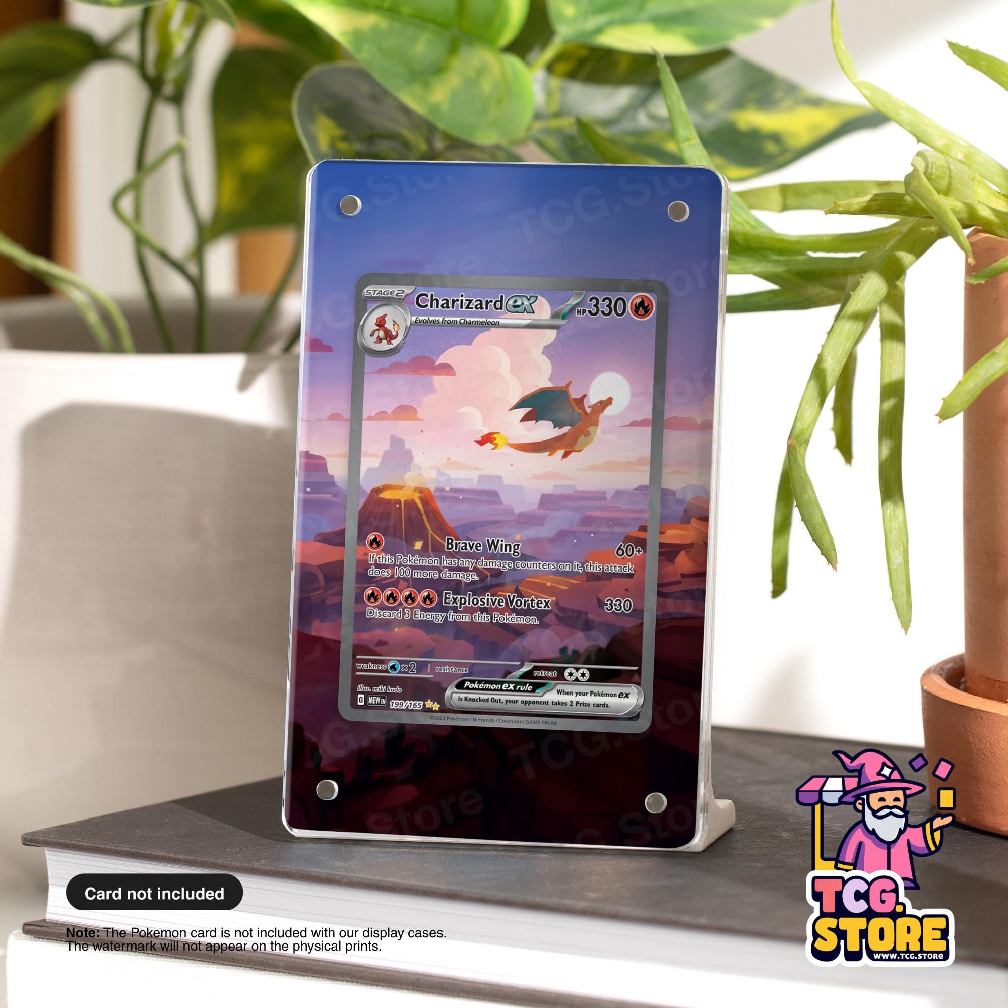 A Pokémon Charizard card is displayed on a stand, with a plant in the background.