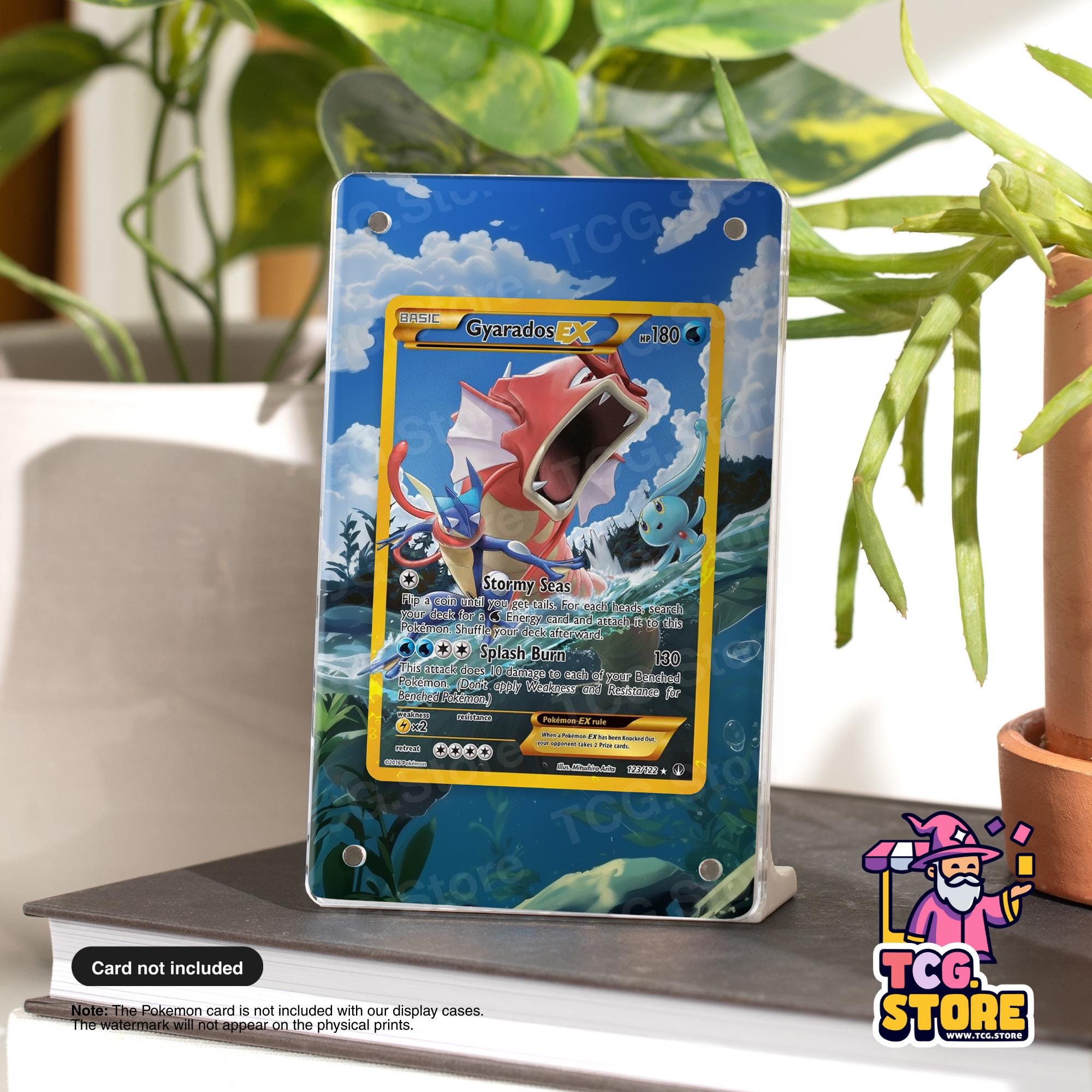 a Pokémon card display case with a Pokémon card featuring a large fish-like creature. The Pokémon card is placed on a table, surrounded by plants and other items.