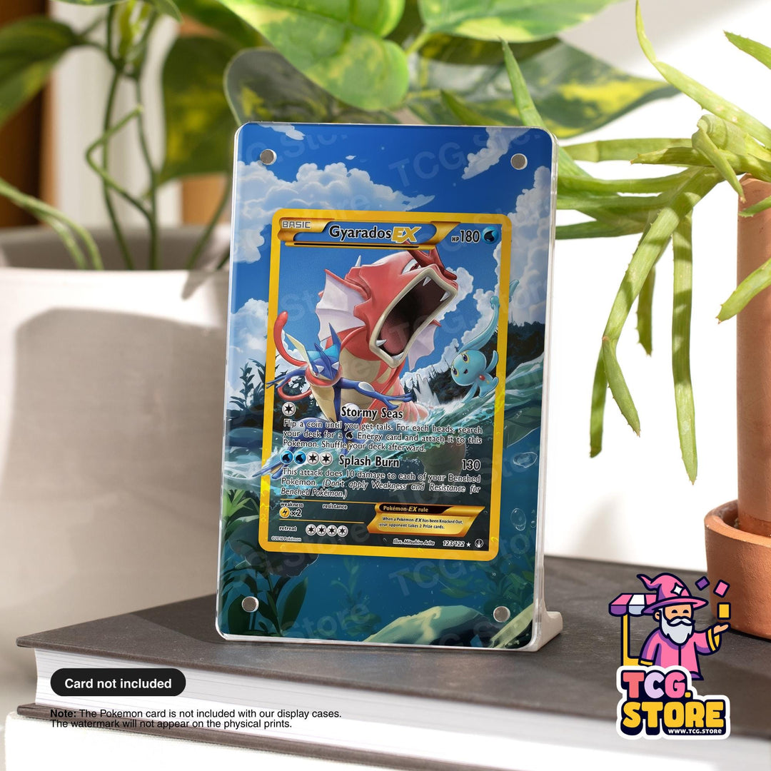 a Pokémon card display case with a Pokémon card featuring a large fish-like creature. The Pokémon card is placed on a table, surrounded by plants and other items.